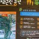 숲사랑유치원 이미지