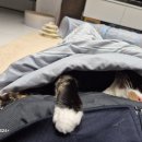 유정사우나 이미지