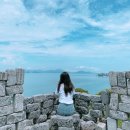 다시초록섬 이미지