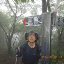 다라실 네이버블로그