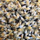 (주)신왕 이미지