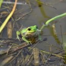 구로-구로-구로-2635 이미지