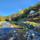 시내산펜션 이미지