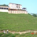 민하마을 이미지