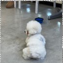 행복이 가득한 분식 이미지