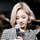 소풍라이브 이미지