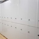 크로스핏 핏불 이미지