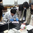 강원대학교사범대학부설고등학교 이미지