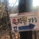 솔빛길유치원 이미지