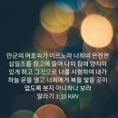 보라창고