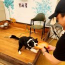 오정농장 이미지