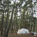 학암포자동차야영장 이미지