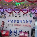 보담송림버섯농장 | 보담송이향송년의밤