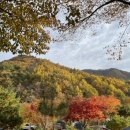 연가리 캠핑펜션 이미지