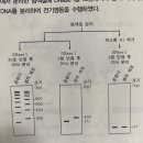 생물 2012 pt 문제 이미지