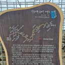 영월세무서 | [왕과 사는 남자] 영월 청령포, 단종 어소,선돌, 한반도지형 당일치기 후기