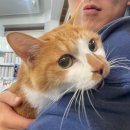 연지동물병원 이미지