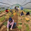 농민사랑 이미지