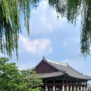 색 다른 시선 이미지