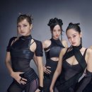 플랫폼라이브 | 헬로라이브, 팬이라면 한 번쯤 경험해볼 글로벌 K-POP 비디오콜 플랫폼 후기