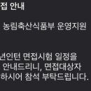 농림축산식품부 청년인턴 서류 합격 면접 탈락 후기