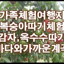 강원도여행지추천,여름휴가지추천,국내여행지추천,가족체험여행지,양양여행지,1박2일여행지추천,바다와가까운계곡,곰마을농장계곡 이미지