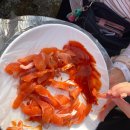 고려태권아카데미 | 큰삼촌 농촌체험 휴양마을 체험학습 고려태권아카데미