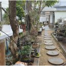 돌쇠본가 이미지