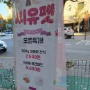 애견용품할인점