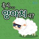 황금포장마차