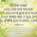 오늘의 '영어성경 사진'(818강) “예수님 안에 거하세요”(요한복음 15장 4절) 이미지