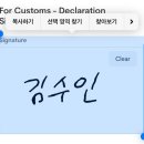 백천약국 | 해적왕 체험기, cebu 🌊☀️🌴