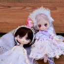 (주)앙주 이미지