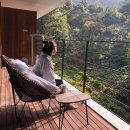 호정약국 | 나는 어디든 간다.