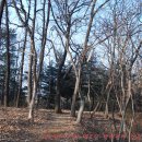 매조산＜미타원&amp; 블루베리농장-벽제관지-선유동입구＞ 이미지