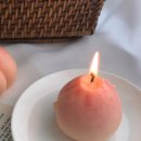 솔필라스튜디오
