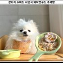 와락펫푸드 이미지