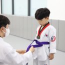 즐거운세종태권도장 이미지
