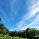 김경승 묘 이미지