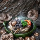 수비면 체육공원 이미지