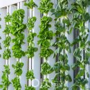 단지농장 이미지