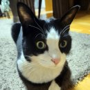 행복팬션 이미지