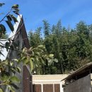 담담스테이 이미지