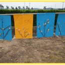 대지초등학교 이미지