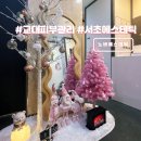 서초대로64길 31 (4) | 교대피부관리 노바에스테틱 수부지 물광케어