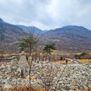 매화마을길 이미지