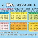 보람애견 네이버블로그