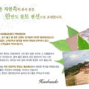 한반도펜션 이미지