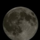 골든파인펜션 이미지