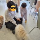 멍브로 이미지